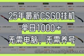 （14178期）25年最新CSGO挂机系统，单日1000+，无需电脑，无需养号，0基础可上手