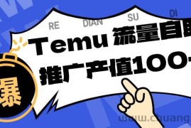 （16636期）专注于Temu、商家提供精准曝光浏览量，助力店铺排名提升和转化。单机日收入80~130
