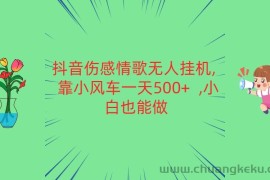 抖音伤感情歌无人挂机 靠小风车一天500+  小白也能做