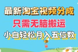 （11744期）最新淘宝视频分成，只需无脑搬运，小白也能轻松月入五位数，可矩阵批量…
