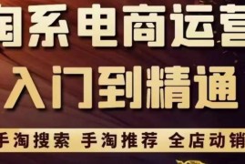 淘系电商入门到精通手淘搜索，手淘推荐，全店动销（价值1099元）