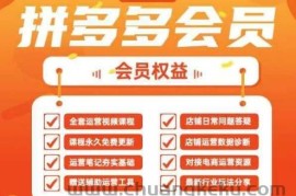 2025拼多多运营实战课，40节全流程教学，覆盖拼多多运营全链路