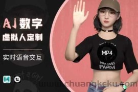 Ai数字人虚拟(智能体)实时语音交互特训营，​自行定制超写实角色AI数字人交互技术