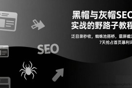 （17125期）黑帽与灰帽SEO实战的野路子教程：泛目录秒收，蜘蛛池搭桥，霸屏截流，7天抢占首页暴利词