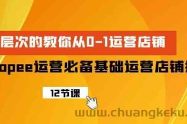 （9993期）Shopee-运营必备基础运营店铺打造，多层次的教你从0-1运营店铺