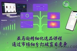 亚马逊精细化选品课程，通过市场细分打破盲目竞争