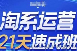 淘系运营21天速成班(更新25年3月)，0基础轻松搞定淘系运营，不做假把式
