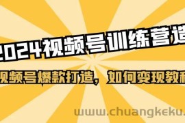 （11135期）2024视频号训练营，视频号爆款打造，如何变现教程（20节课）