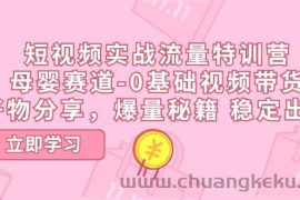 （11373期）短视频实战流量特训营，母婴赛道-0基础带货，好物分享，爆量秘籍 稳定出单