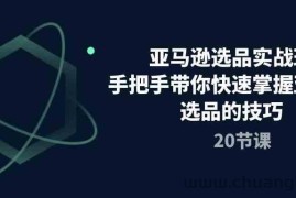 亚马逊选品实战班，手把手带你快速掌握亚马逊选品的技巧（20节课）