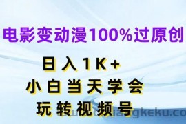 电影变动漫100%过原创，日入1K+，小白当天学会，玩转视频号【揭秘】