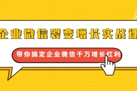 （1649期）企业微信裂变增长实战课：带你搞定企业微信千万增长红利，新流量-新玩法