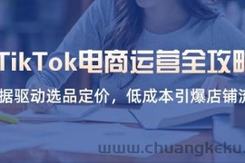（14343期）TikTok电商运营全攻略，数据驱动选品定价，低成本引爆店铺流量