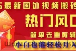 2025最新视频搬砖项目，热门风口，简单去重剪辑，小白也能轻松月入过W