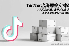 （17368期）TikTok出海掘金实战课：从入门到精通，全干货实操讲解，手把手教你做好TK跨境电商
