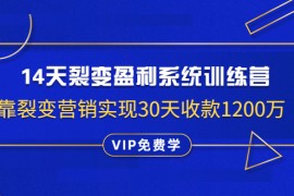 （1317期）14天裂变盈利系统训练营：靠裂变营销实现30天收款1200万（无水印）