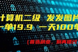 （11715期）计算机二级，一单19.9 一天能出100单，每天只需发发图片（附518G资料）