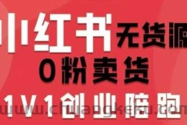 小红书无货源0粉电商课，开店准备、选品策略、笔记撰写、视频剪辑、数据分析、账号打造、资料文档