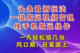 （15237期）今日头条最新玩法，一键搬运视频也能轻松变现，随随便便就爆百万流量，…