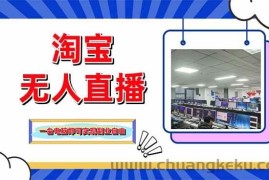 （14417期）淘宝无人直播带货，单品打爆+搜索流打法，24小时必出单