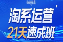 淘系运营24天速成班第28期最新万相台无界带免费流量