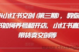 2024小红书文创(第三期)，教你小红书如何养号和开店，小红书直播带货卖文创等