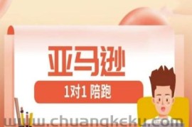 亚马逊1对1陪跑课(FBA/FBM精铺)跨境亚马逊教程