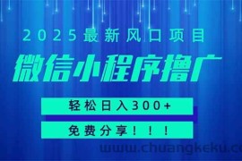 （14375期）微信小程序撸广，最新风口项目，日入300+ 免费分享 可批量操作 小白可…