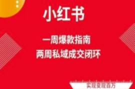 爆款小红书免费流量体系课程(两周变现)，小红书电商教程