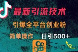 最新引流方法，引爆全平台的一个创业粉，简单操作日引300+
