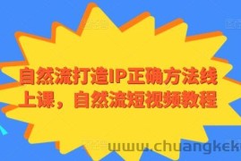 自然流打造IP正确方法线上课，自然流短视频教程