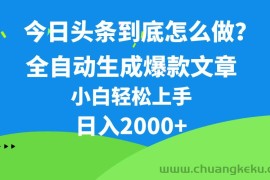 （10541期）今日头条最新最强连怼操作，10分钟50条，真正解放双手，月入1w+