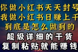 都知道小红书能引流私域变现，可为什么我能一天引流几十人变现上千，但你却频频封号违规被限流【揭秘】