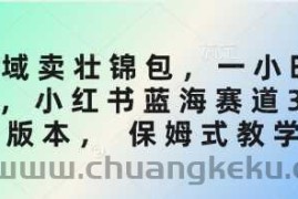 私域卖壮锦包，一小时3张，小红书蓝海赛道3.0版本， 保姆式教学