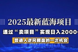 2025年蓝海项目，如何通过“网创项目”日入2000+