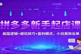 拼多多新手起店课：底层逻辑+避坑技巧+盈利模式，小白高效出单