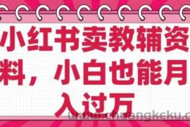 小红书卖教辅资料，0 成本，纯利润，售后成本极低，小白也能月入过W
