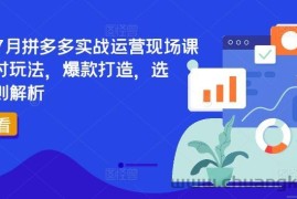 2024年7月拼多多实战运营现场课程，实时玩法，爆款打造，选品、规则解析