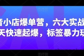 抖音小店爆单营，六大实战篇，7天快速起爆，标签暴力玩法