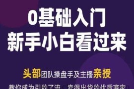2024年新媒体流量变现运营笔记，教你成为引的了流，卖得出货的优质商家