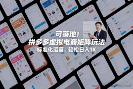 可落地！拼多多虚拟电商矩阵玩法，标准化运营，轻松日入1K+【揭秘】