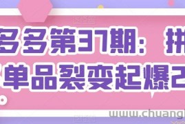 拼多多第37期：拼多多单品裂变起爆2.0