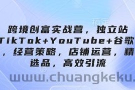 跨境创富实战营，独立站+TikTok+YouTube+谷歌广告，经营策略，店铺运营，精准选品，高效引流