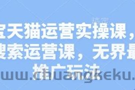 淘宝天猫运营实操课，新品搜索运营课，无界最新推广玩法