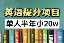 英语提分项目，100%正规项目，单人半年小 20w