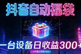 全自动抢福袋神器：24小时不停歇，日产出500＋