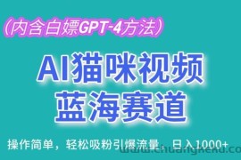 AI猫咪视频蓝海赛道，操作简单，轻松吸粉引爆流量，日入1K【揭秘】