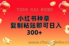 （14350期）小红书种草无脑操作复制粘贴即可日入300+