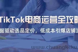 TikTok电商运营全攻略，数据驱动选品定价，低成本引爆店铺流量