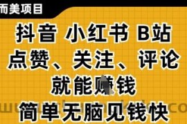 小而美的项目，抖音小红书B站视频点赞、关注、评论就能挣钱，简单无脑立见收益，妥妥的零撸项目【揭秘】
